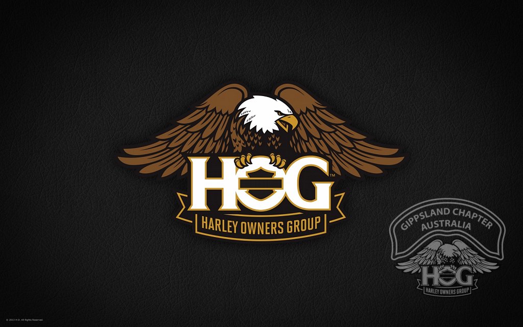 New HOG logo