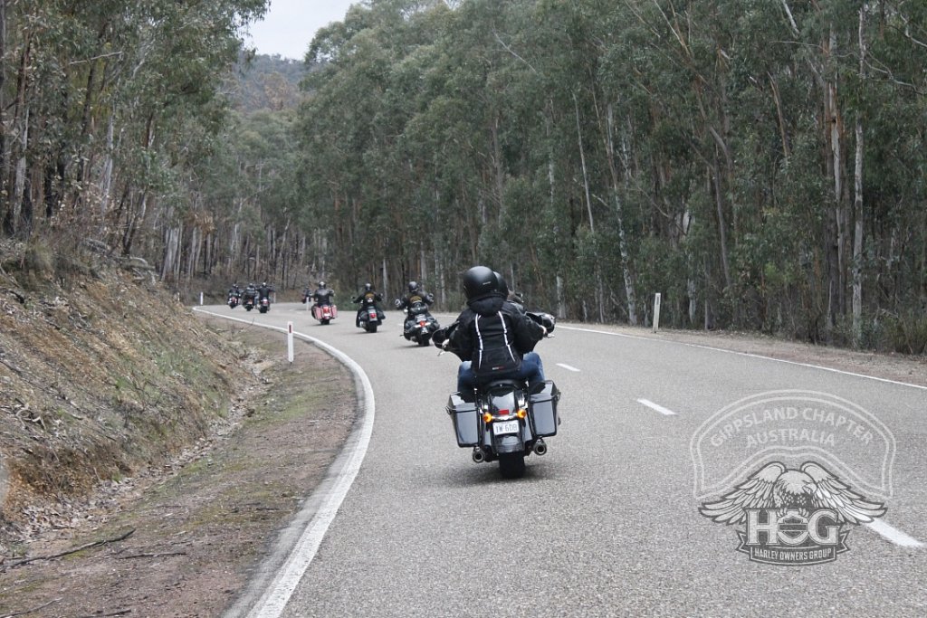 The Road to Dargo