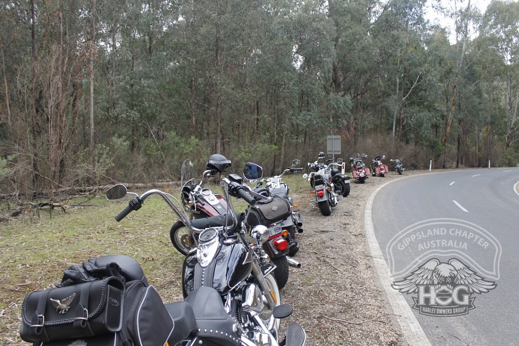 The Road to Dargo