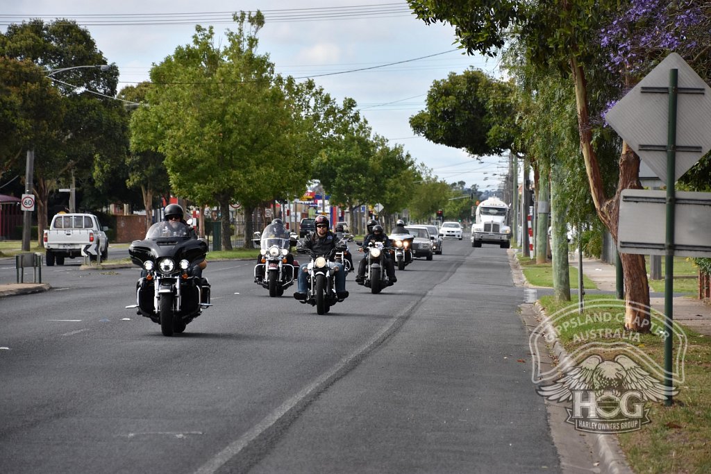 Hog Gippsland travelling through Sale