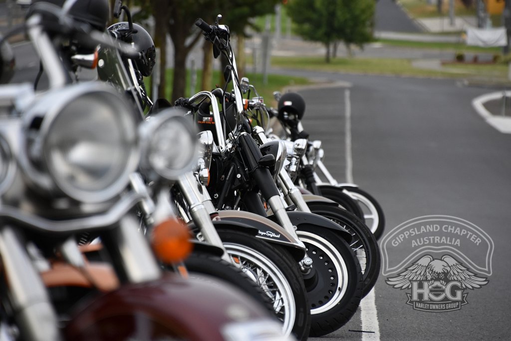 Lined up ready to roll.