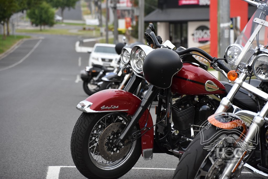 Spence's Custom Softail