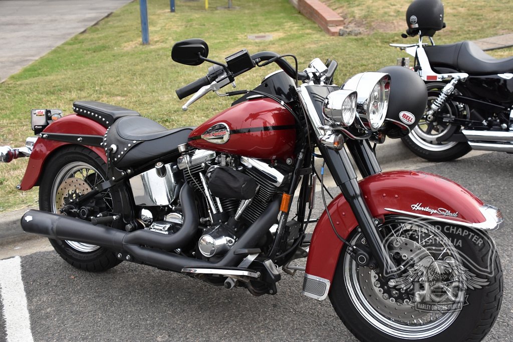 Spence's Custom Softail